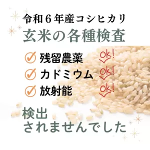 令和６年産コシヒカリの各種検査を実施しましたのサムネイル